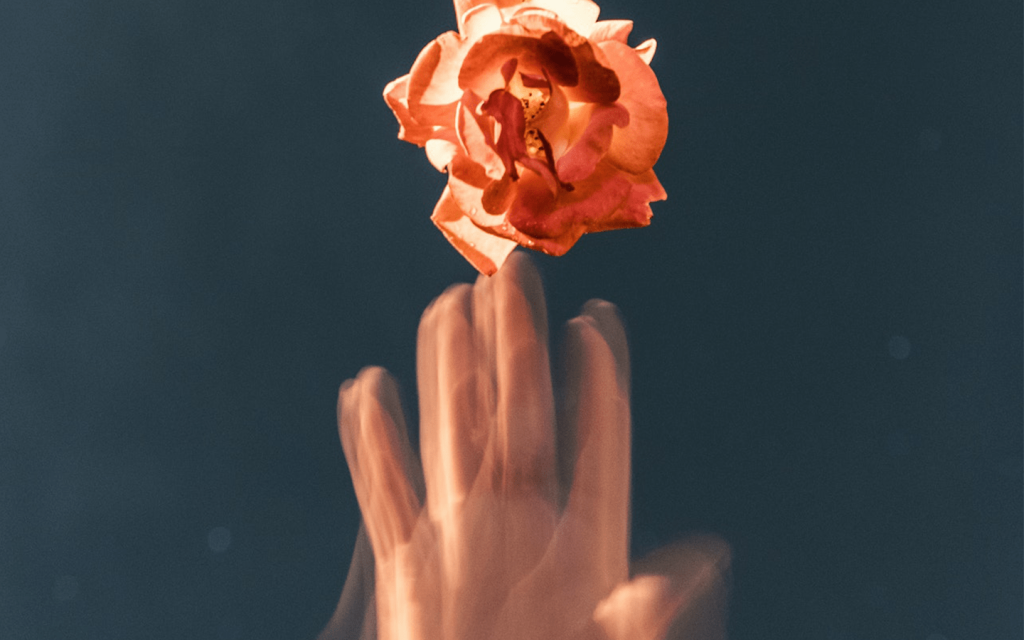This is a blurred hand touching an orange-ish flower with just the tip of fingers. The background of the picture of a mutted grey. This is used to represent the deceptive nature of character that feel harmless but are often obfuscating truths in "Sharp Objects" episode 7.