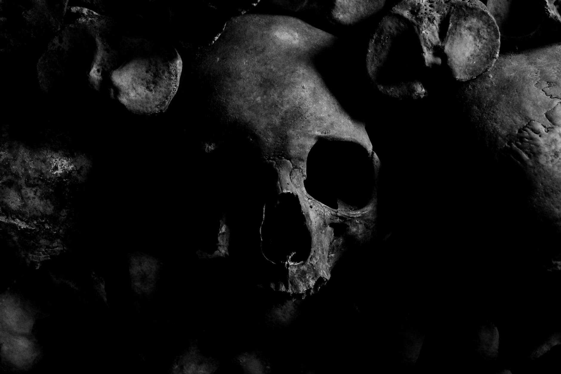 An image of a skull on the ground representing the dead bodies in Beyond Evil